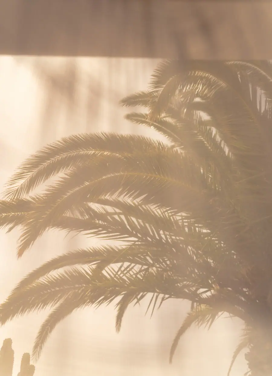 Casa Aurora, Fuerteventura: photograph by Matteo Mizzoni