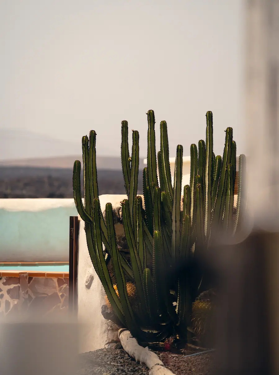 Casa Aurora, Fuerteventura: photograph by Matteo Mizzoni