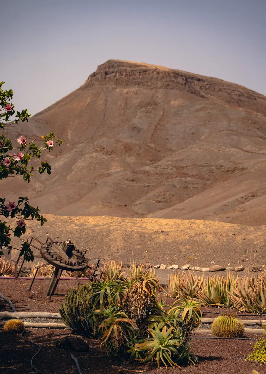 Casa Aurora, Fuerteventura: photograph by Matteo Mizzoni