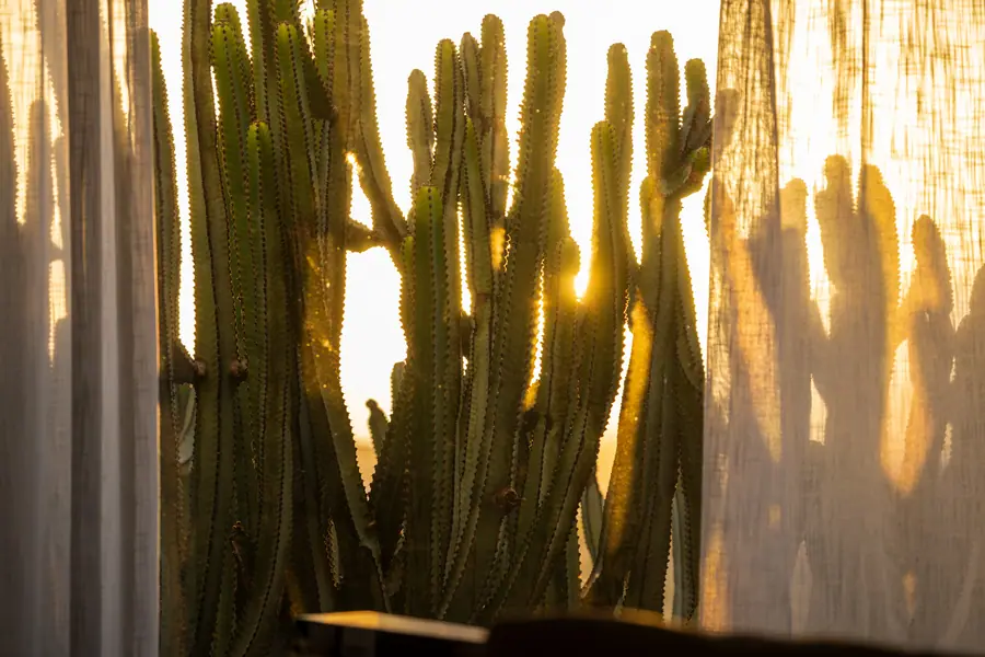 Casa Aurora, Fuerteventura: photograph by Matteo Mizzoni